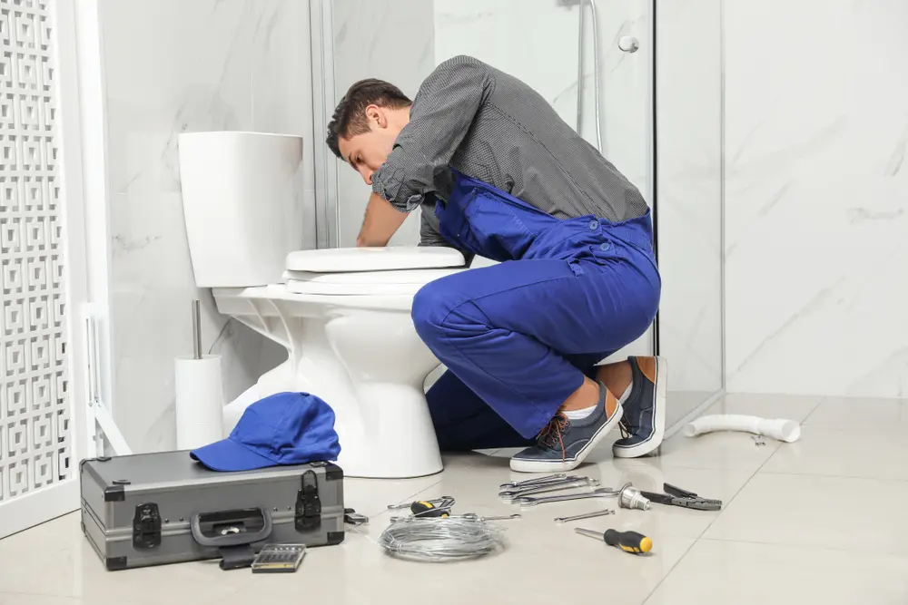 Toilet Installation in Ireland